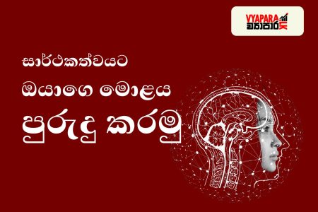 Dopamine-Driven Entrepreneur