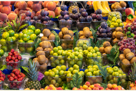 සංචාරක ක්ෂේත්‍රයෙන් ඔබටත් ස්වයං රැකියා අවස්ථා -