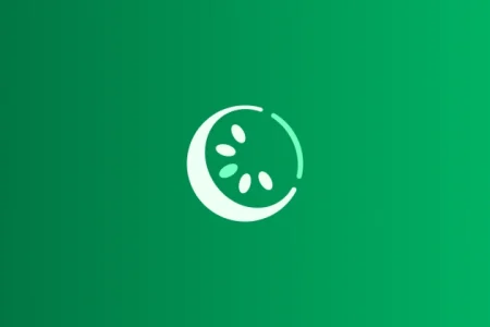 Kiwi Money | Green gradient background featuring a minimalist white kiwi fruit logo, representing the Kiwi Money fintech brand.